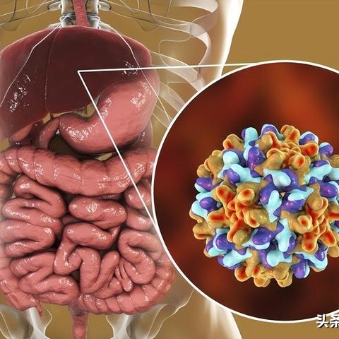乙肝治疗与疫苗研发获重大突破，新策略进展显著