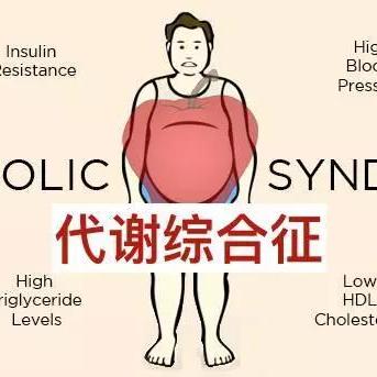 健康潮流引领者，最新饮料产品选择